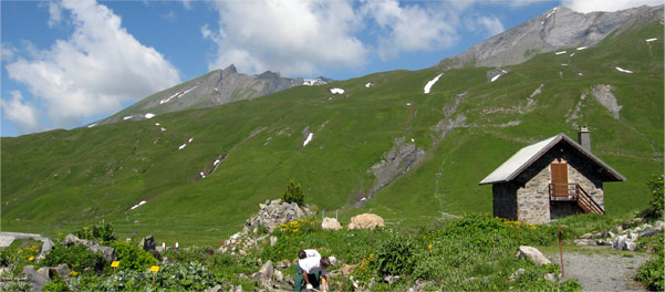 Lavori di giardinaggio estate 2006